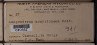 Image Associated With the Occurence